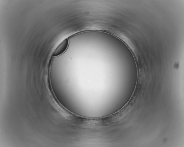 X0000091301187200708172202