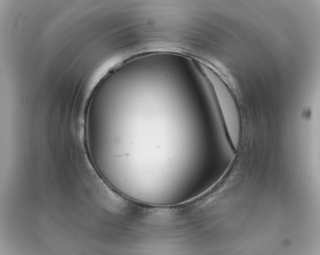 X0000091301188200708172202