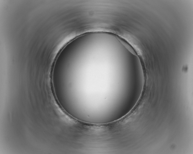 X0000091301189200708172202