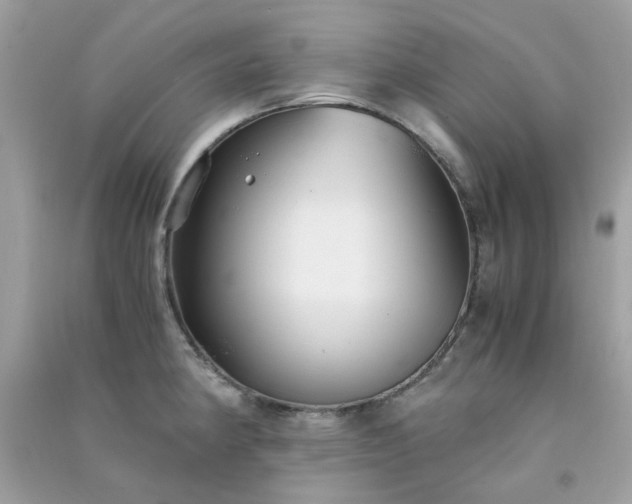 X0000091301190200708172202