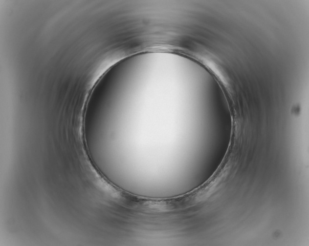 X0000091301194200708172202