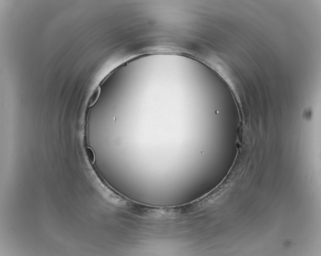 X0000091301195200708172202