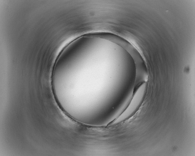 X0000091301197200708172202