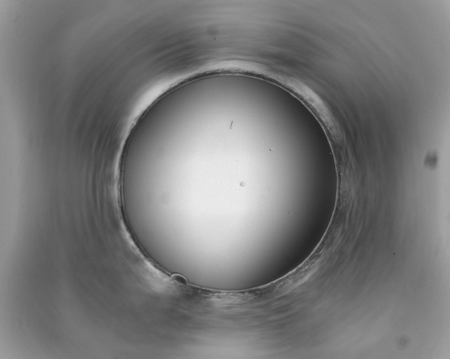 X0000091301199200708172202