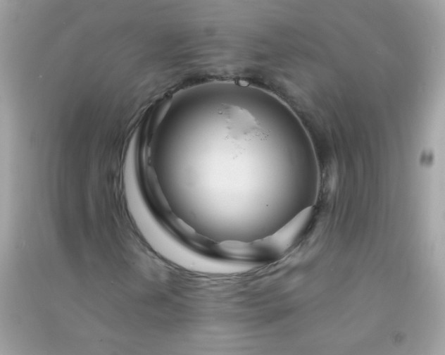 X0000091301202200708172202