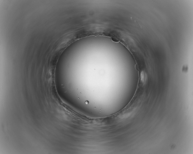 X0000091301203200708172202