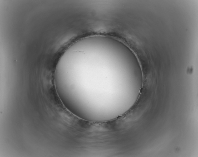 X0000091301205200708172202