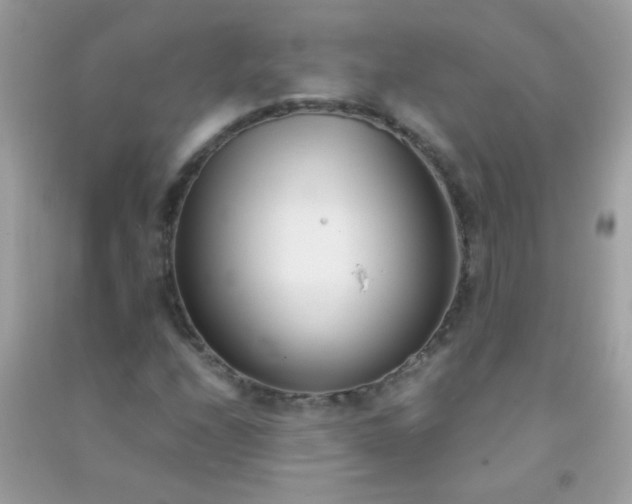 X0000091301208200708172202