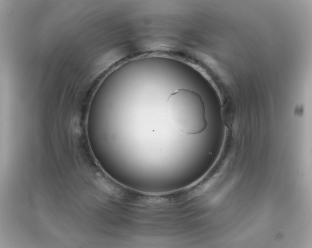 X0000091301209200708172202