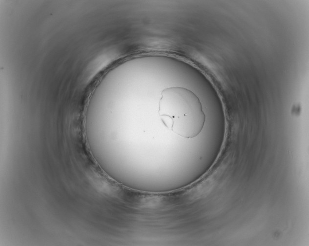 X0000091301211200708172202