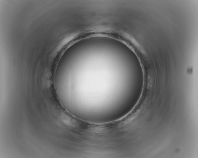 X0000091301213200708172202