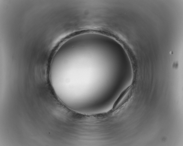 X0000091301214200708172202