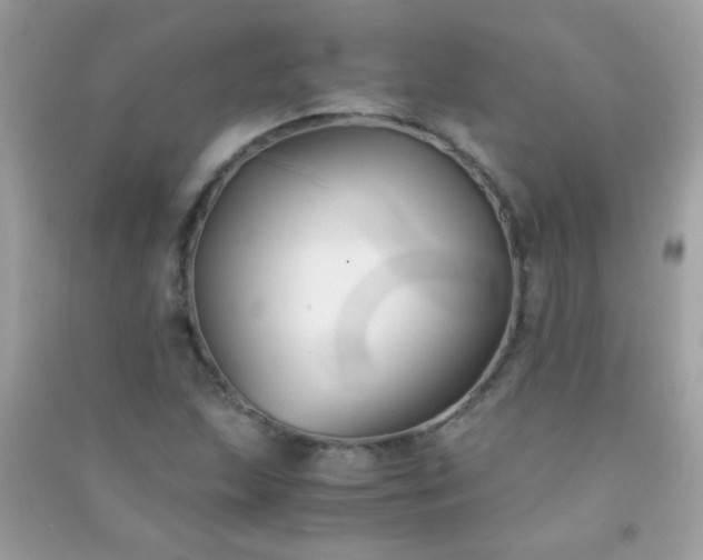 X0000091301215200708172202