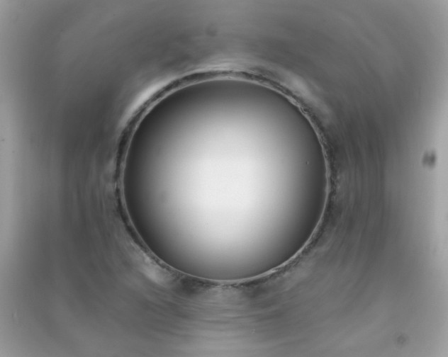 X0000091301216200708172202