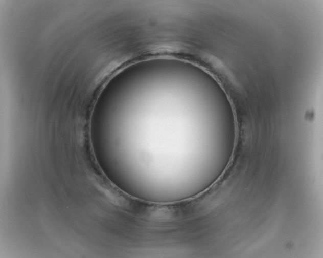 X0000091301217200708172202