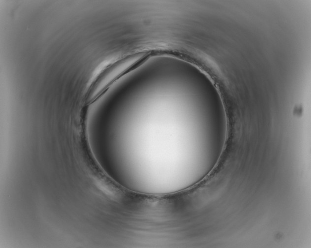 X0000091301218200708172202