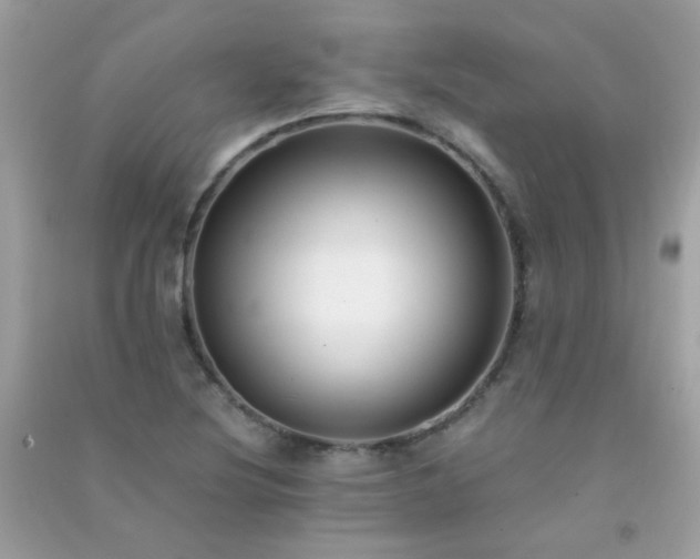 X0000091301220200708172202