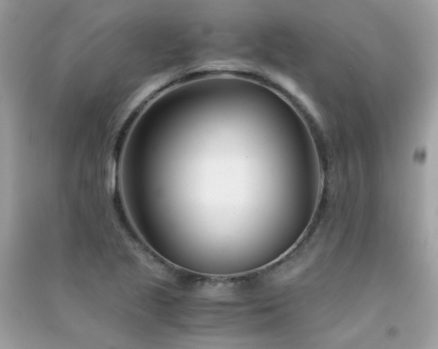 X0000091301221200708172202