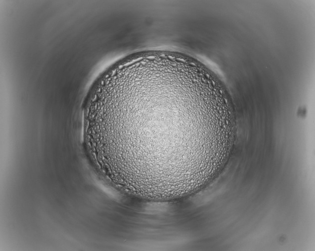 X0000091301223200708172202