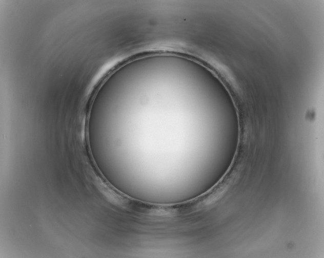 X0000091301224200708172202