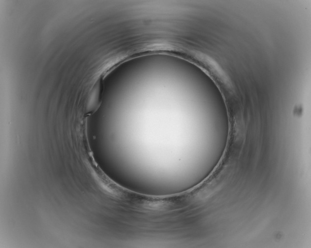 X0000091301225200708172202