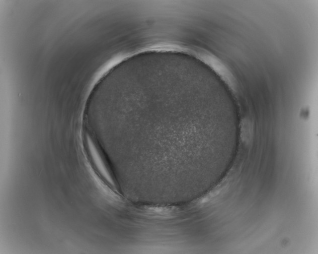 X0000091301229200708172202