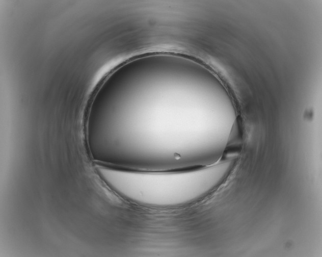 X0000091301230200708172202