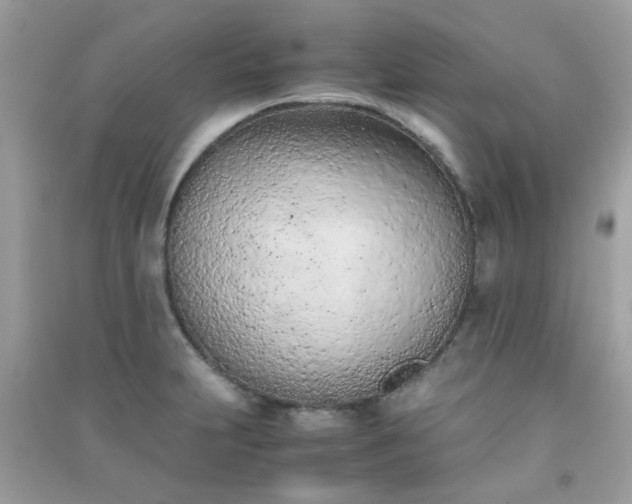 X0000091301231200708172202