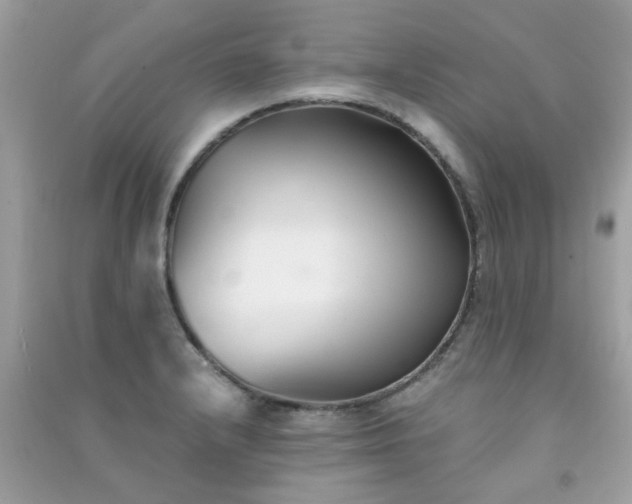 X0000091301232200708172202