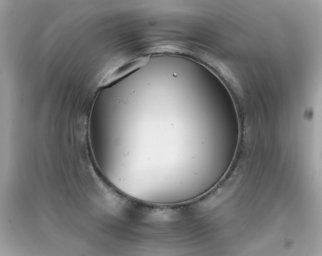 X0000091301233200708172202