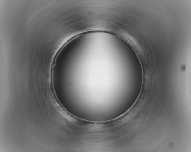 X0000091301236200708172202