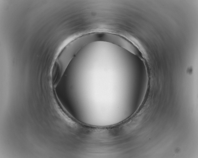 X0000091301238200708172202