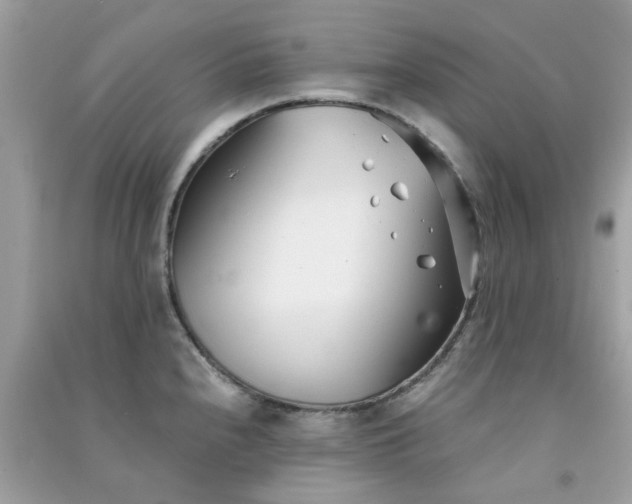 X0000091301240200708172202