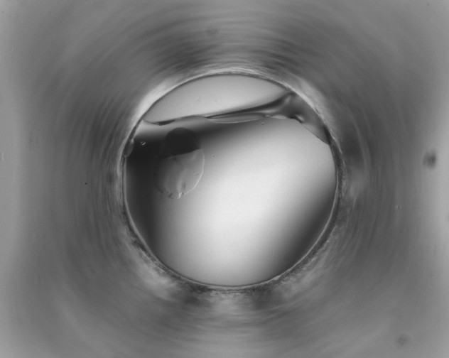 X0000091301242200708172202