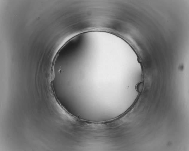 X0000091301244200708172202