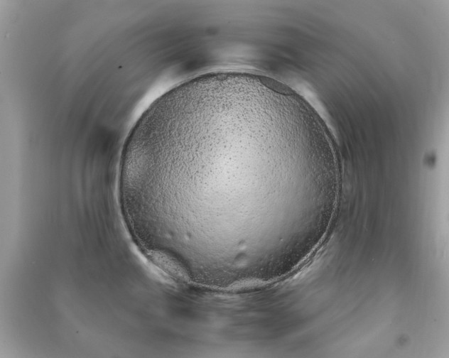 X0000091301245200708172202