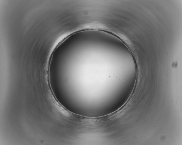 X0000091301248200708172202