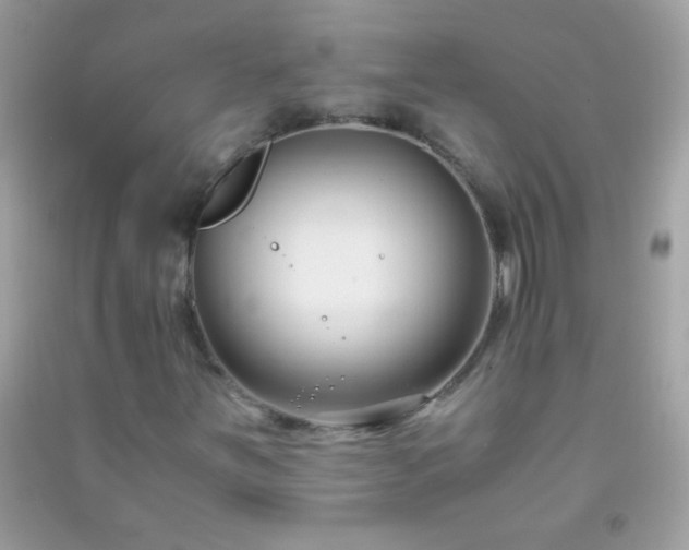 X0000091301251200708172202