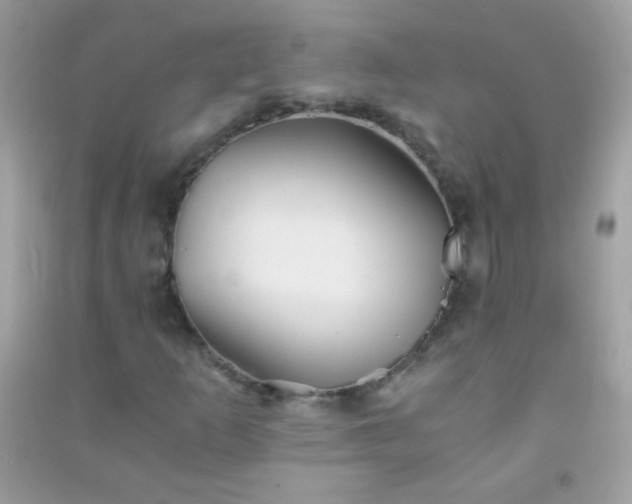 X0000091301253200708172202