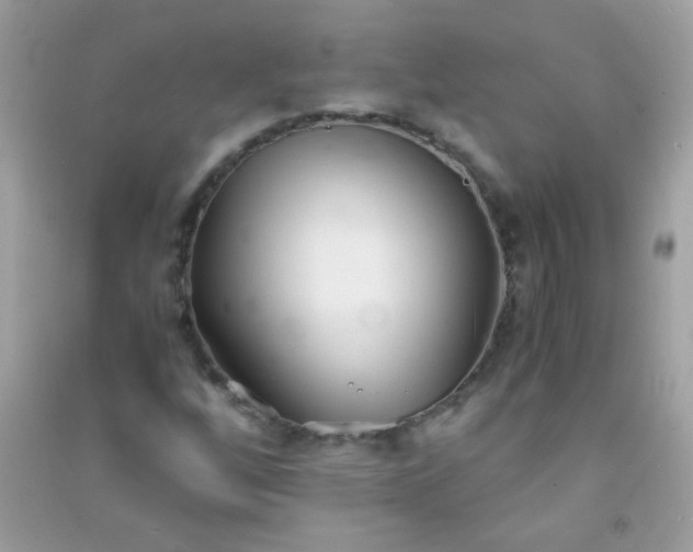 X0000091301256200708172202