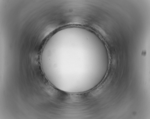 X0000091301258200708172202