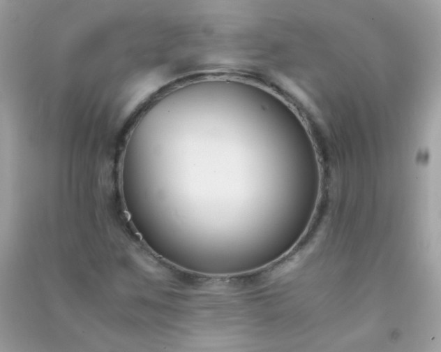 X0000091301259200708172202