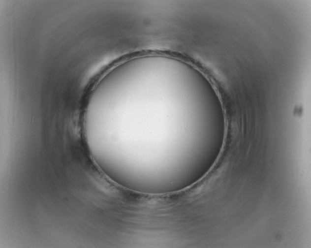 X0000091301262200708172201