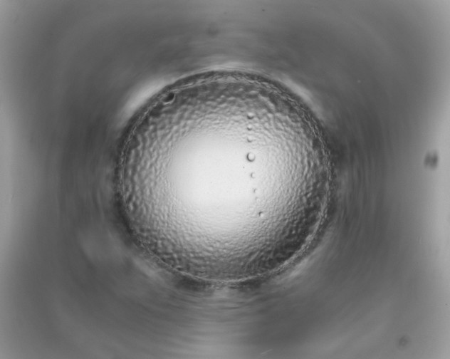 X0000091301263200708172201