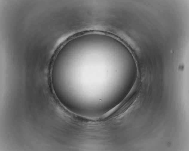 X0000091301264200708172201