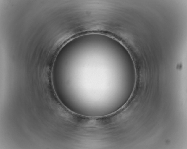 X0000091301265200708172201