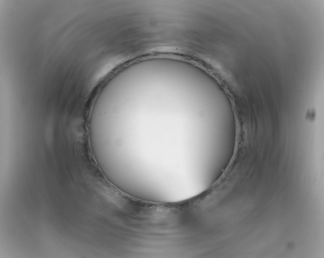 X0000091301266200708172201