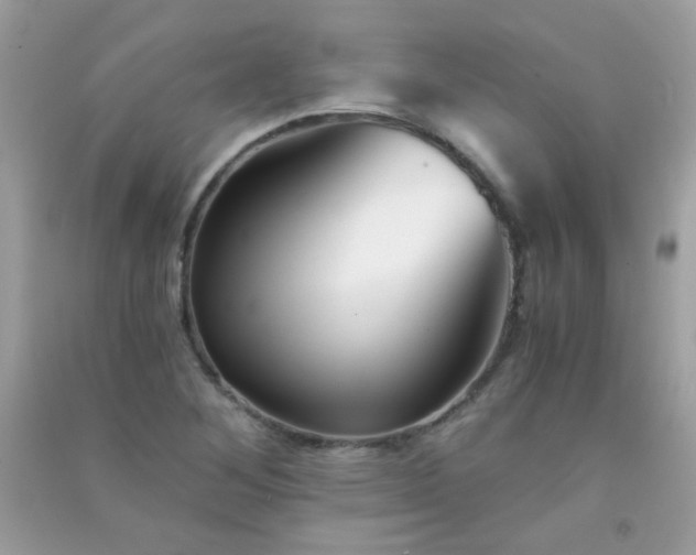 X0000091301268200708172201