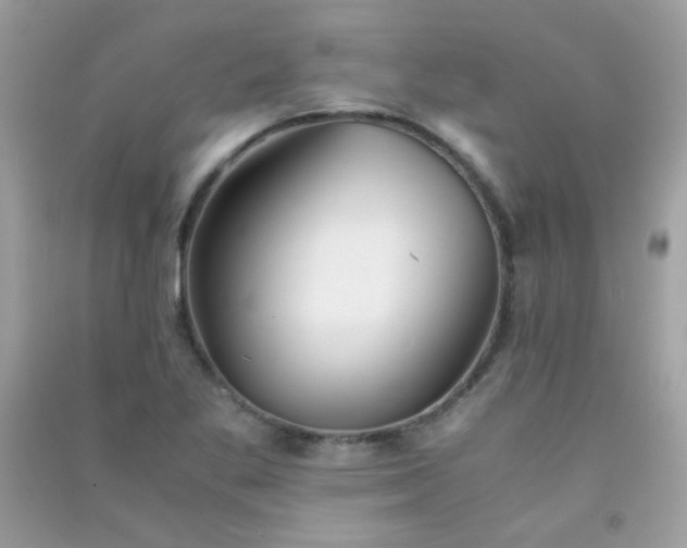 X0000091301269200708172201