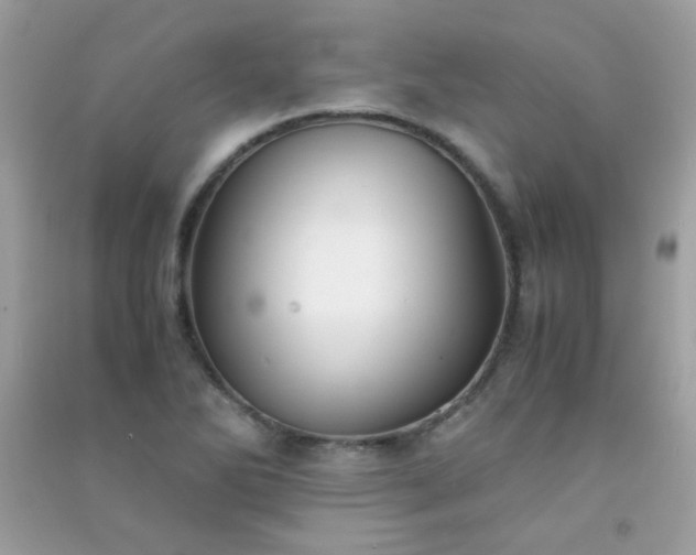 X0000091301270200708172201